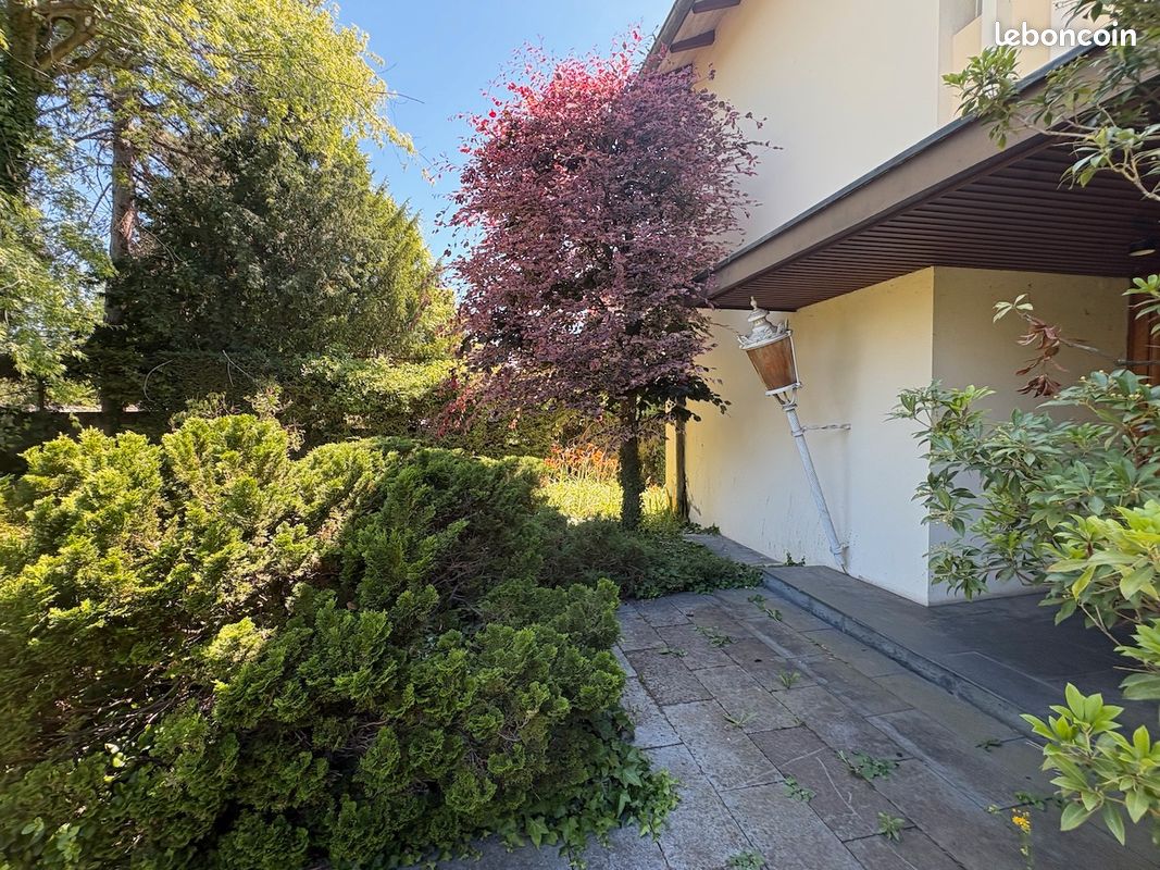 Maison 8 pièces 233 m² · à Colmar · 233 m² · 372 000 €