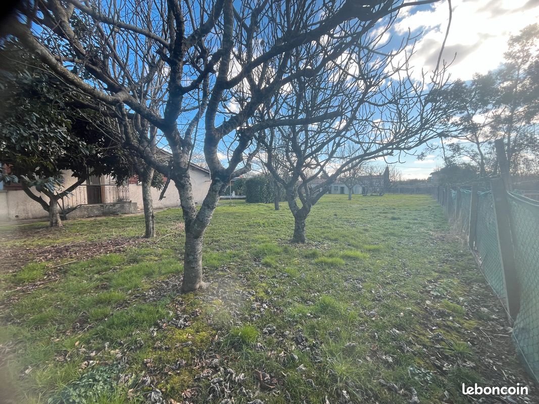 Terrain 1300 m² · à Brax · 160 000 €