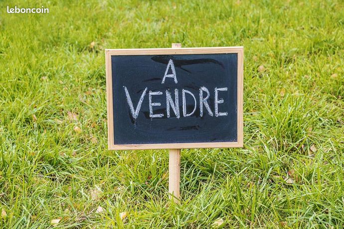 https://img.leboncoin.fr/api/v1/lbcpb1/images/e3/cb/0b/e3cb0b97d33babd2b5fe175107e98a7a5aa89e3f.jpg?rule=ad-image