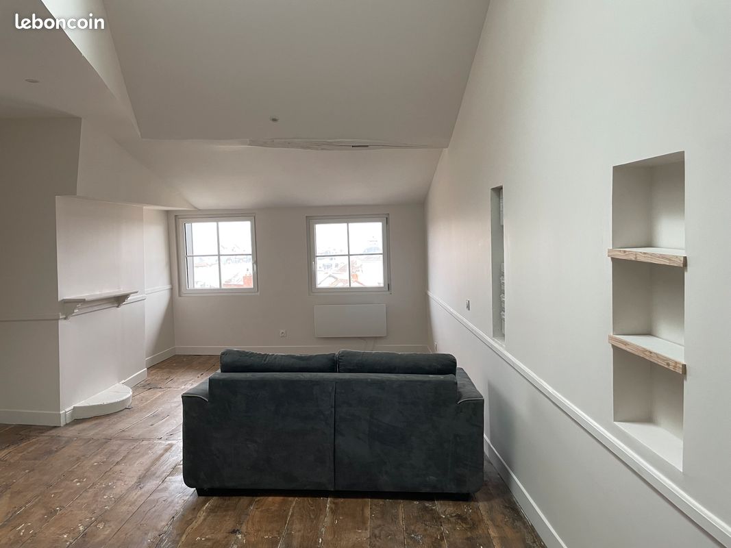 Loft T3 hypercentre - Limoges 87000 (image principale 2)