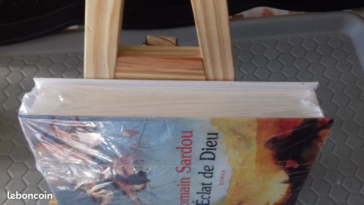Livre L'éclat de Dieu ( Romain Sardou ) (image 4)