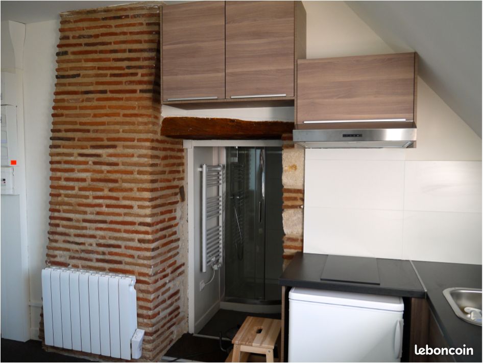 Appartement 1 pièce 15 m² · à Olivet · 15 m² · 540 €/mois