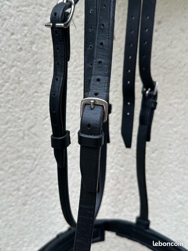 Muserolle compatible bridon Antarès (image 9)