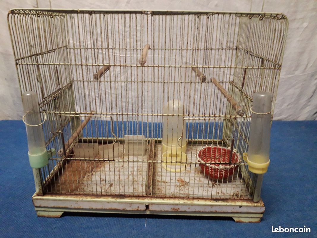 Cage à oiseaux dans son jus (image 2)