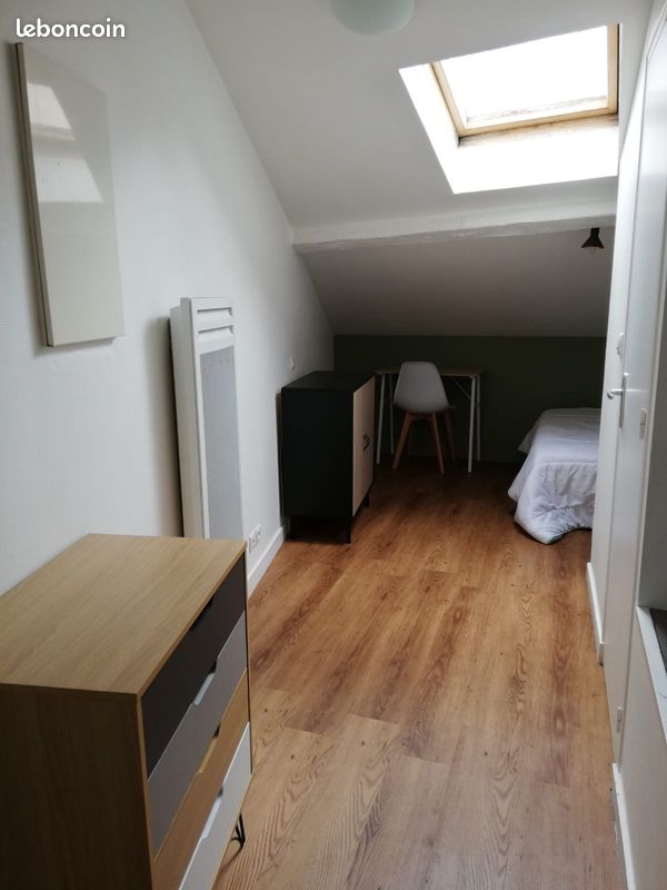 T1BIS hyper centre - Limoges 87000 Centre-Hôtel de Ville Emailleurs (image principale 0)