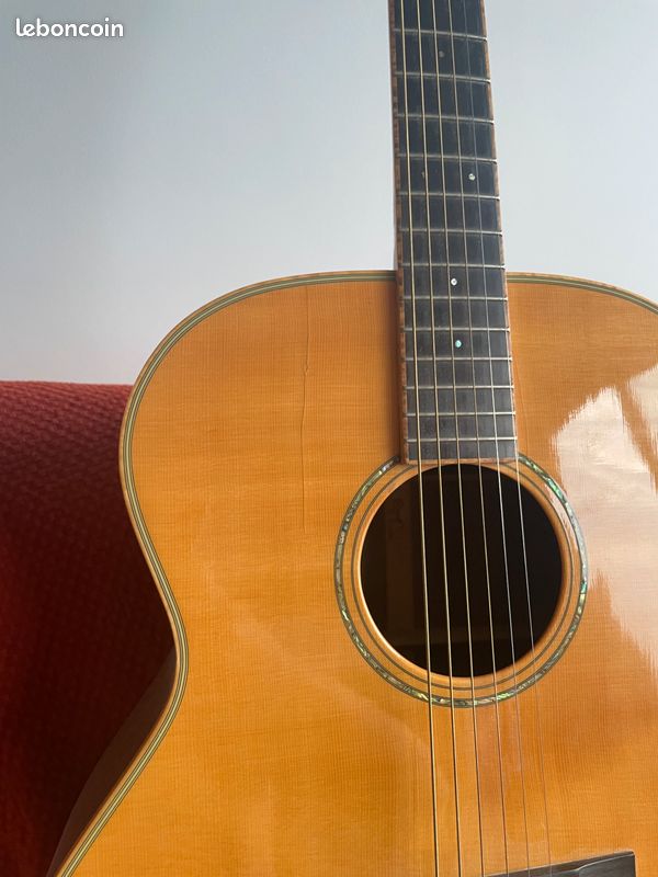 Guitare Folk Acoustique Cort Custom Jumbo (type Martin) - Palissandre Massif (image 9)