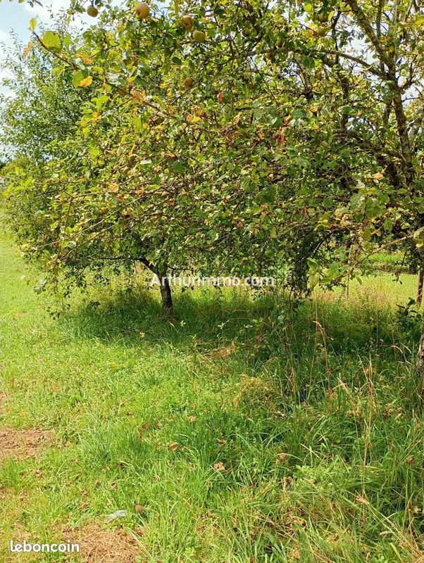 Terrain 1270 m² · à Saint-Vit · 1 270 m² · 18 000 €