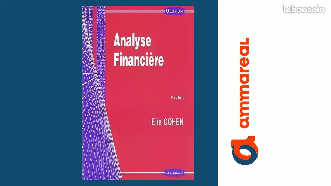 Analyse financière - Elie Cohen (image 1)
