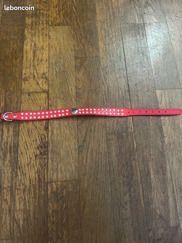 Collier chien (image 1)