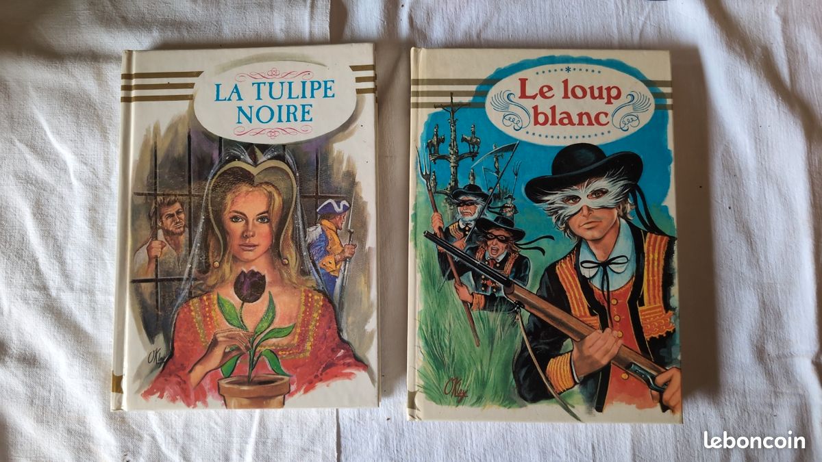 Lot de 2 livres - Collection Hemma jeunesse (image 1)