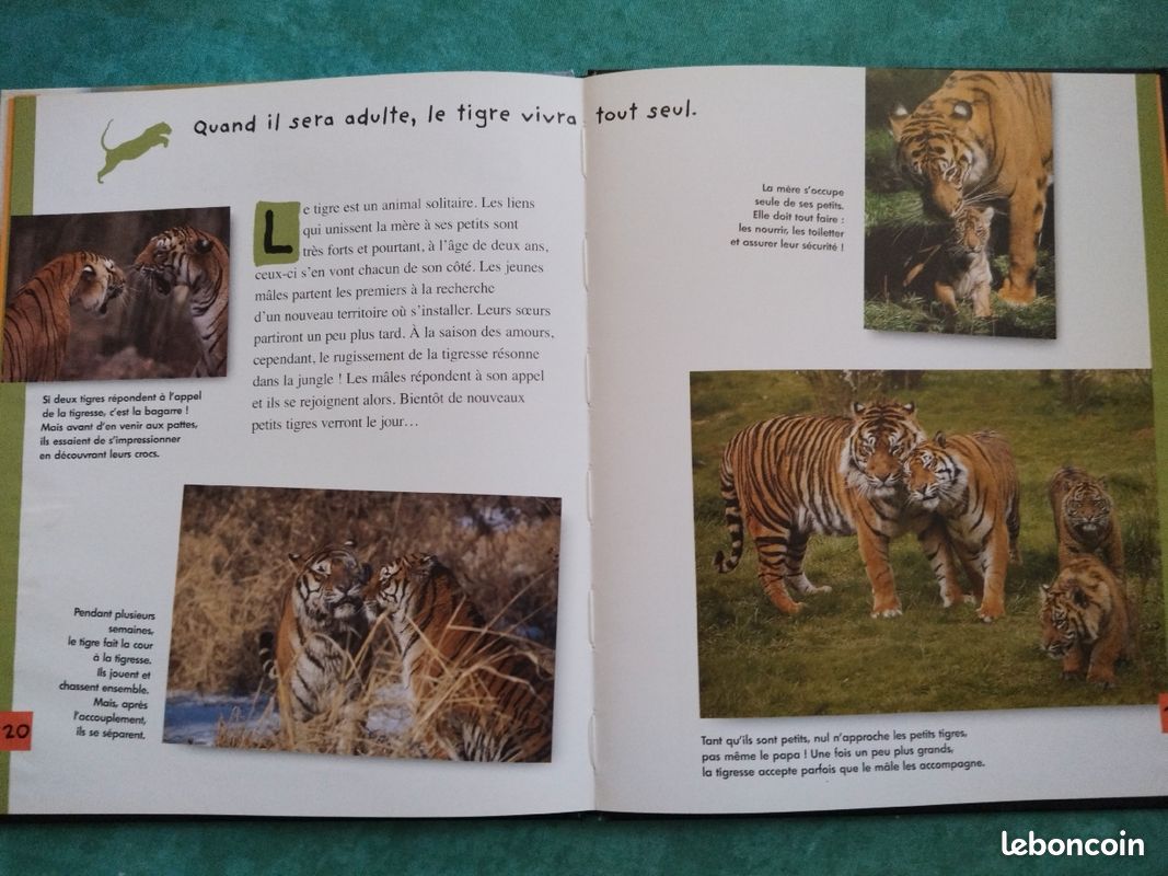 Livre sur les tigres (image 3)