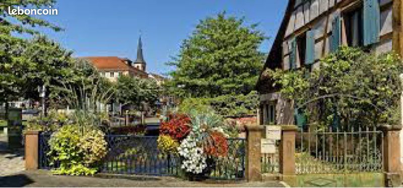 Appartement 4 pièces 77 m² · à Niederbronn-les-Bains · 77 m² · 795 €/mois