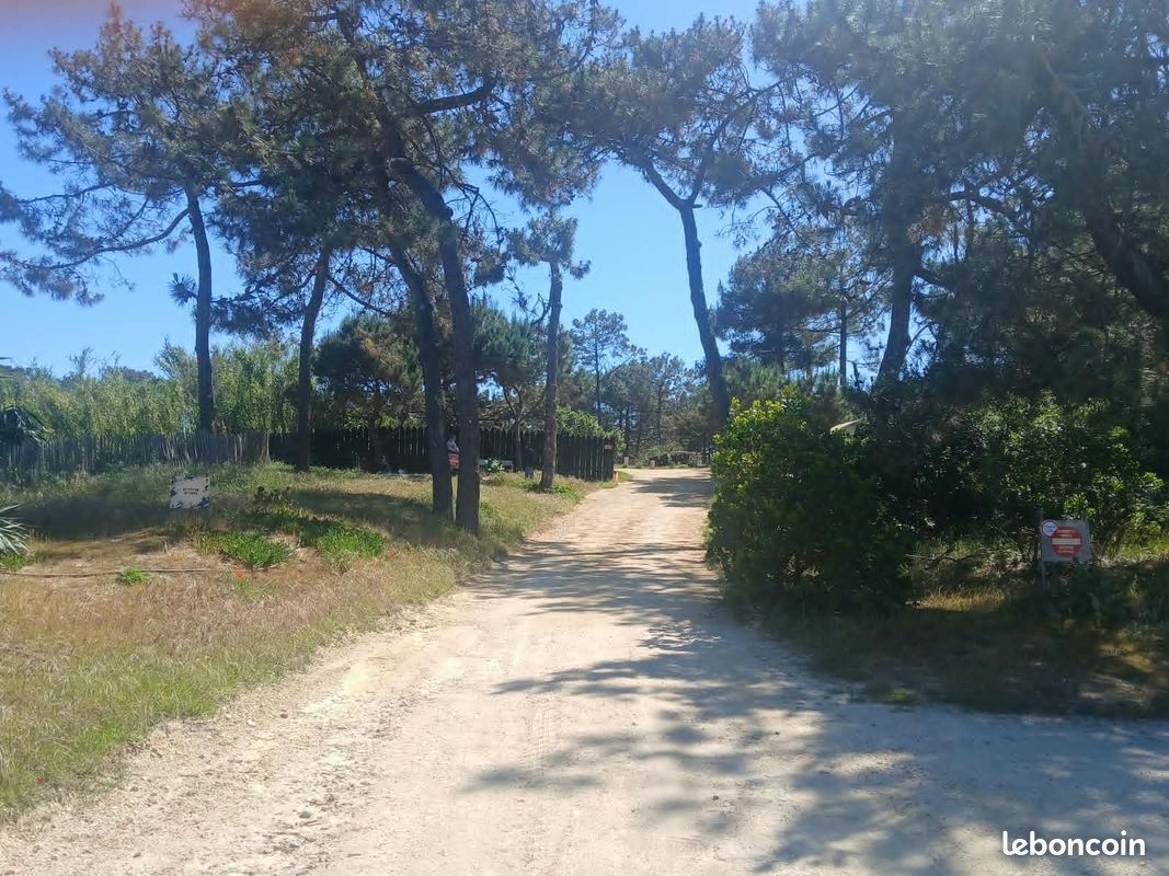 Beau terrain à vendre à la pointe du Cap Ferret juste à coté de la mer · à Lège-Cap-Ferret · 800 000 €