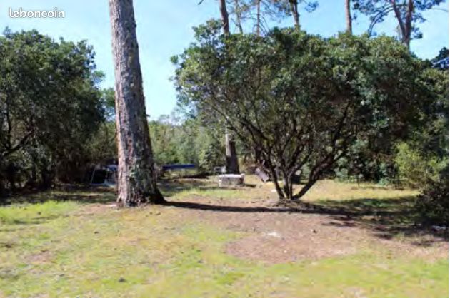 Terrain boisé de plus de 1150 m2 avec permis obtenu et purgé · à Lège-Cap-Ferret · 950 000 €