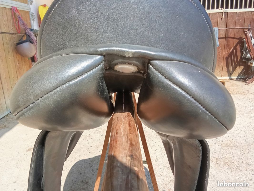 Selle mixte Bates Caprilli 17,5" (image 6)