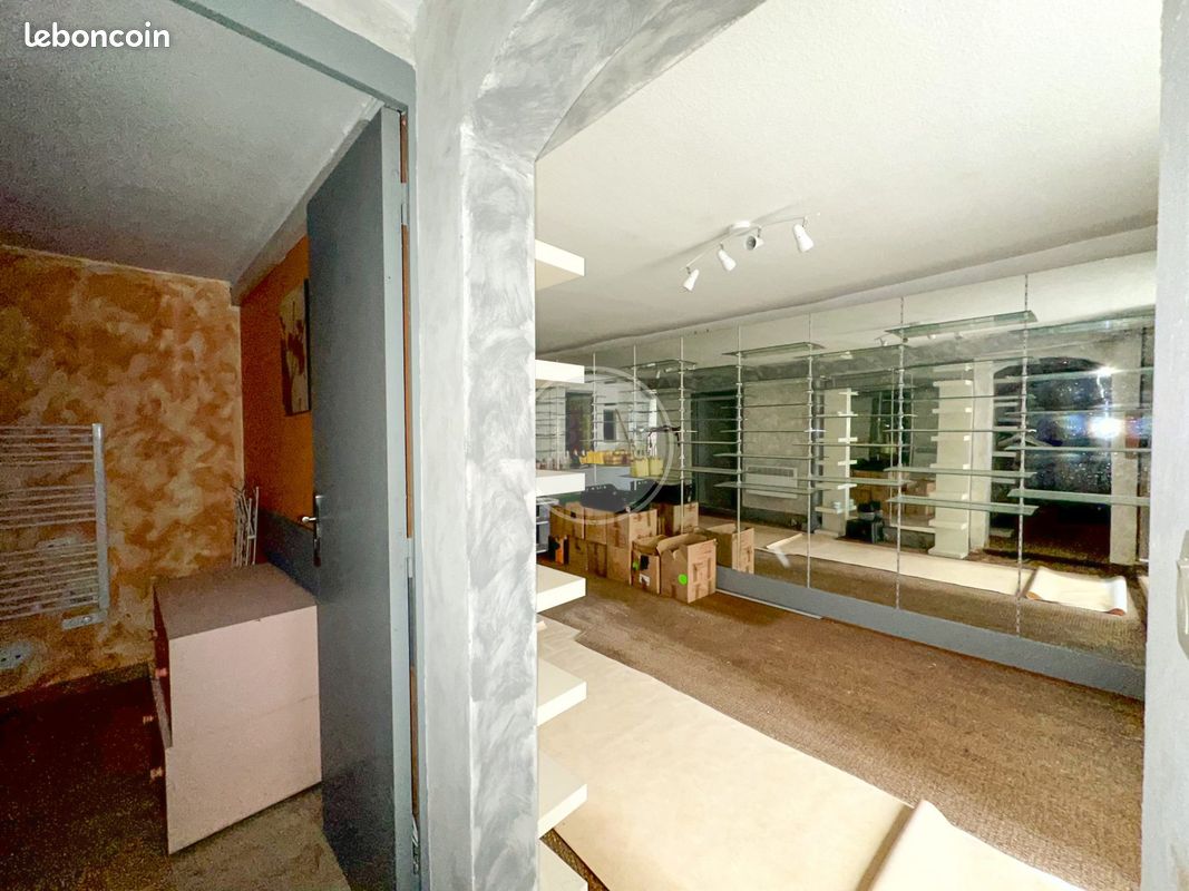 Maison de ville 9 pièces 218 m² (image 6)