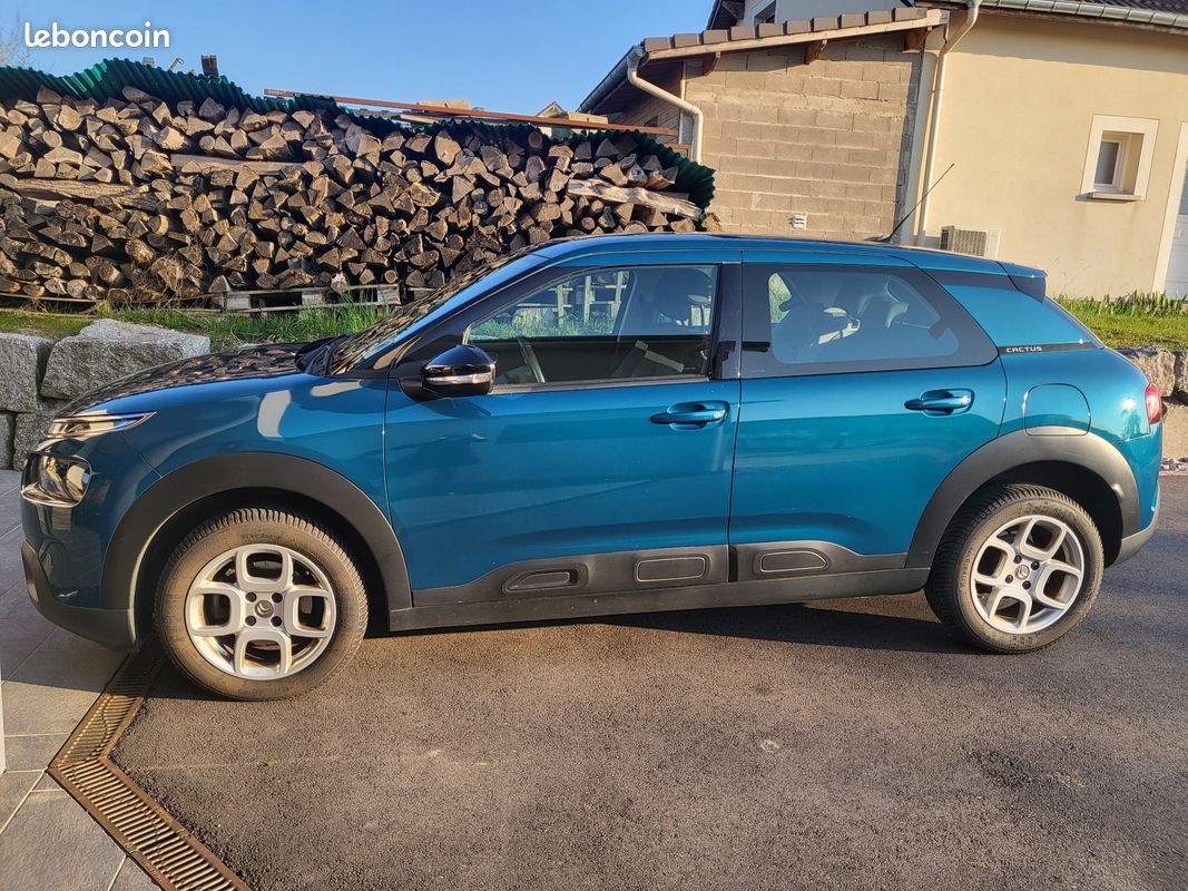 C4 cactus feel 130CV (image 3)