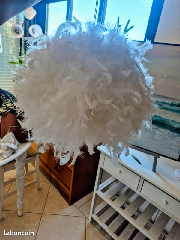 Lustre plumes (image 1)