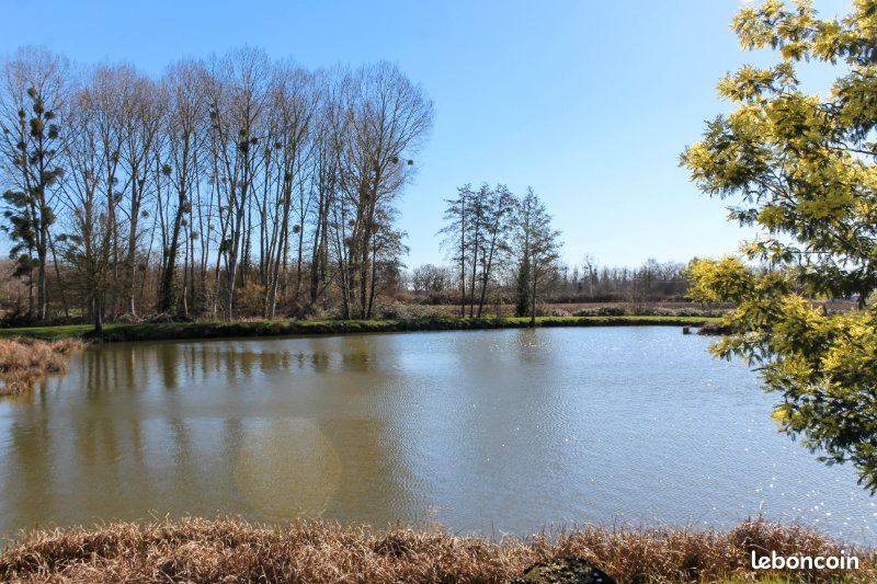 Etang de pêche (image 2)