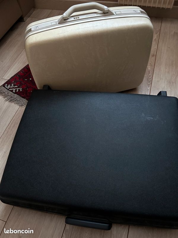 Valise (image 1)