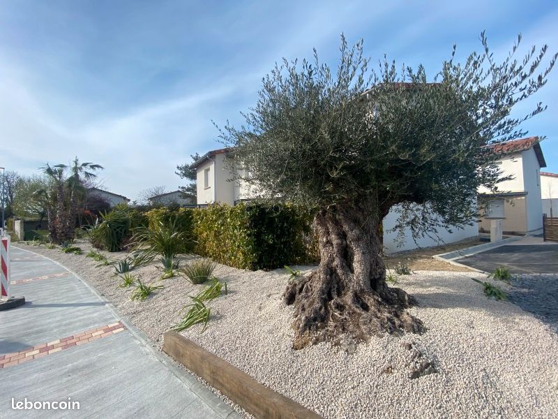 Maison a louer tournefeuille - 4 pièce(s) - 85 m2 - Surfyn