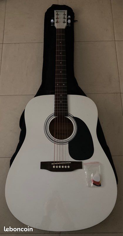 Guitare Sherwood (image 1)