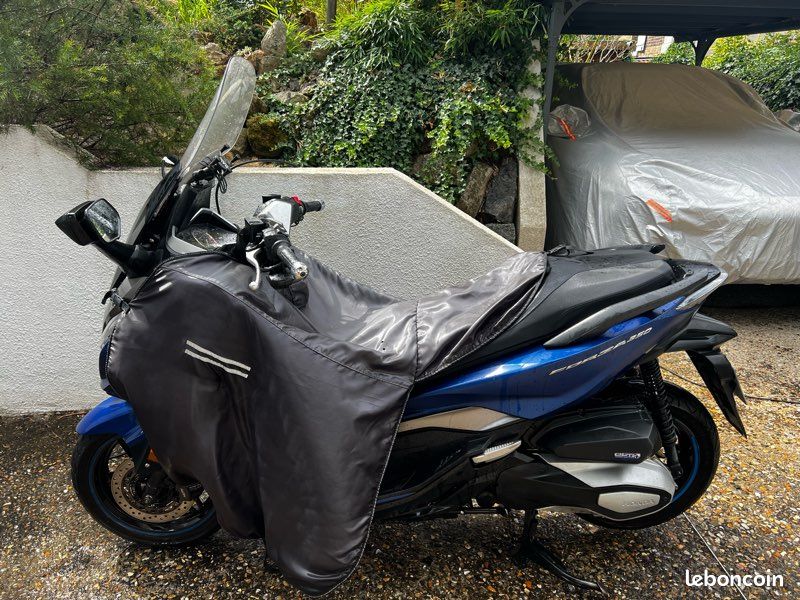 Scooter Forza 350 (image 1)