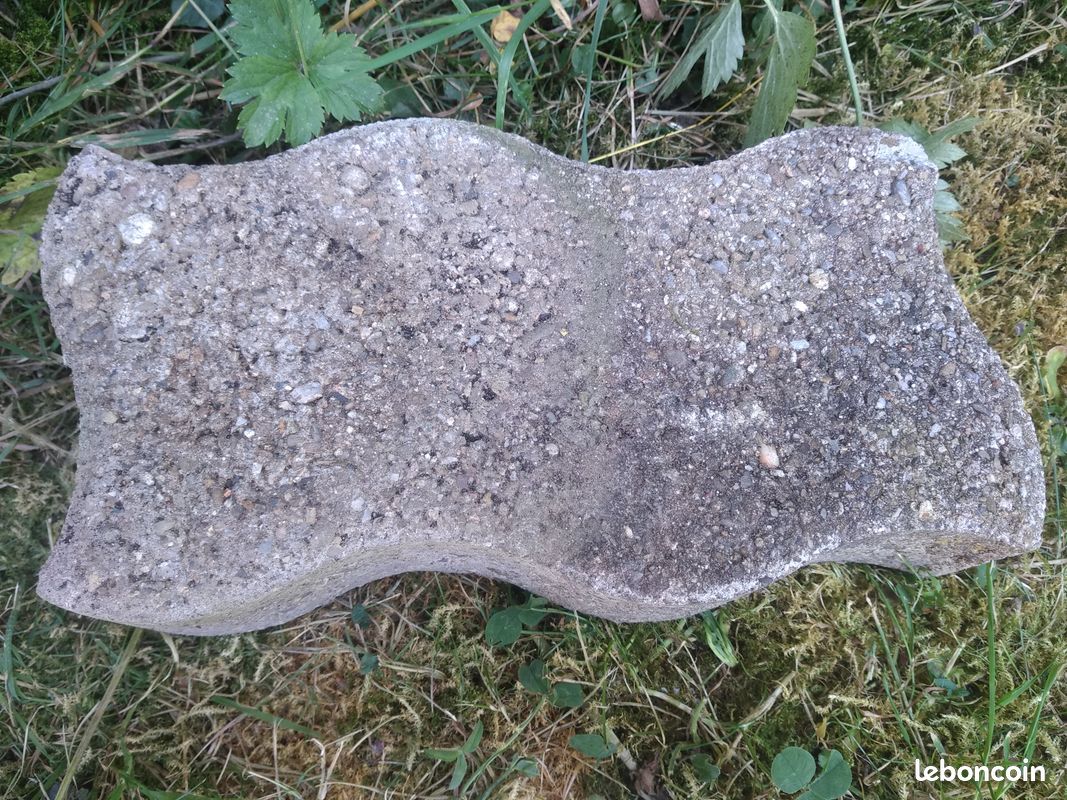 Pave béton (image 1)