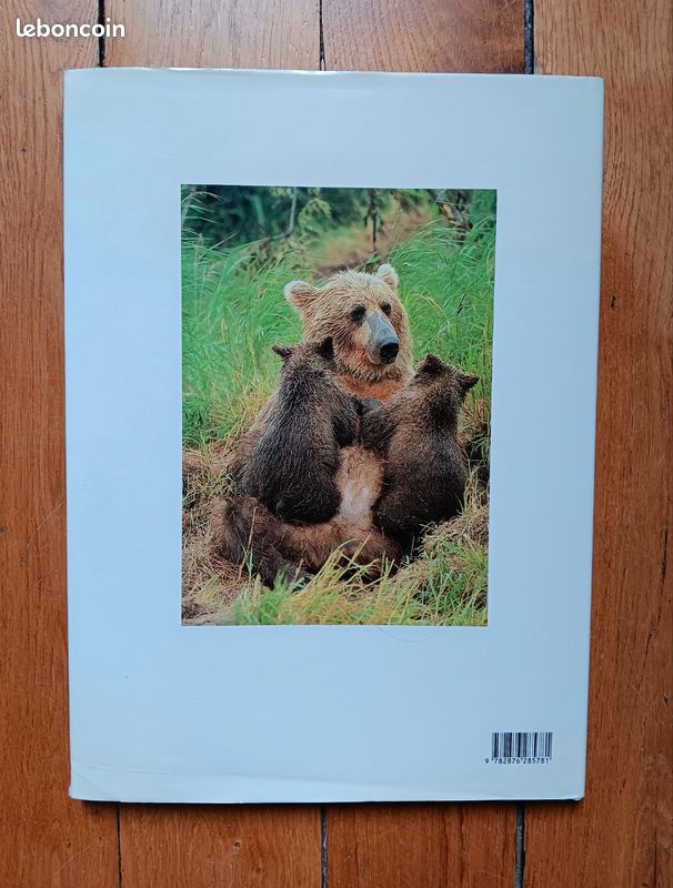 Beau Livre : OURS de Robert Elman (image 2)