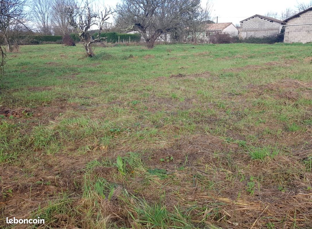 Terrain constructible 1000m² · à Saint-Christoly-de-Blaye · 60 000 €