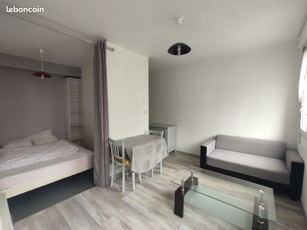 Appartement 1 pièce 24 m² - Limoges 87100 (image principale 3)