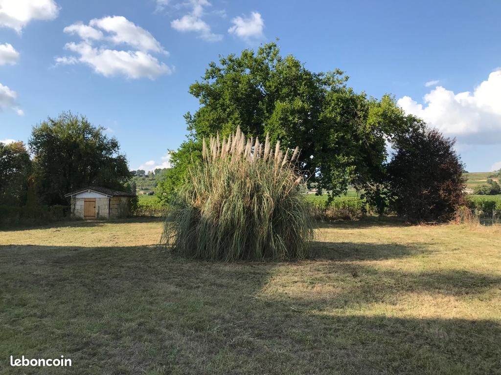 St-emilion/libourne - grand t2 meublé 45m2 - 4 couchages - Saint-Étienne-de-Lisse 33330 Parent (image principale 7)
