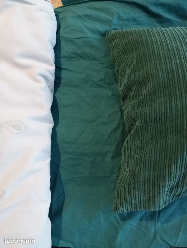 Lot de deux parures de lit bleues (image 4)