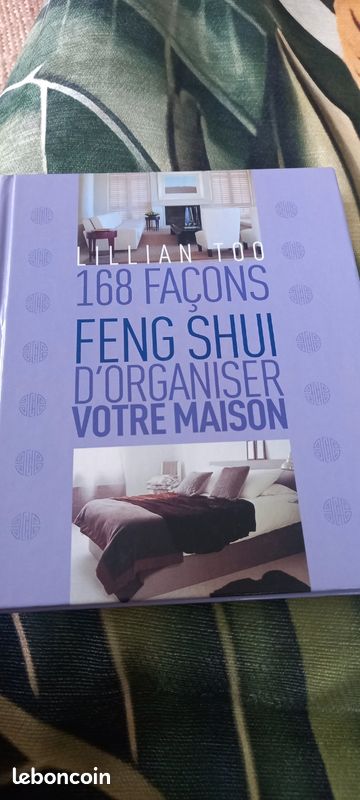 Livre feng shui (image 2)