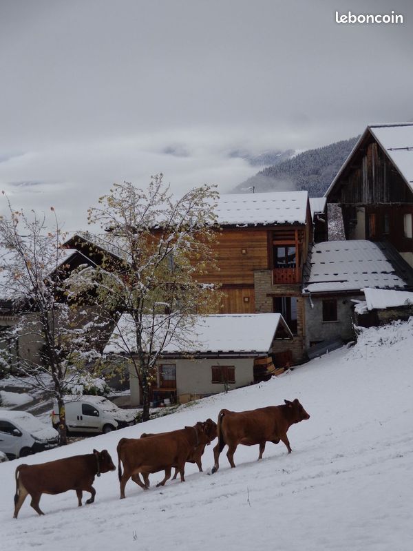 Libre chalet 10 pers fevrier 7 au14 02 et 28/02 à 7/03 à 2200 /2500 euros la Plagne Montalbert 4ch/ 2sdbos/2wc (image 8)