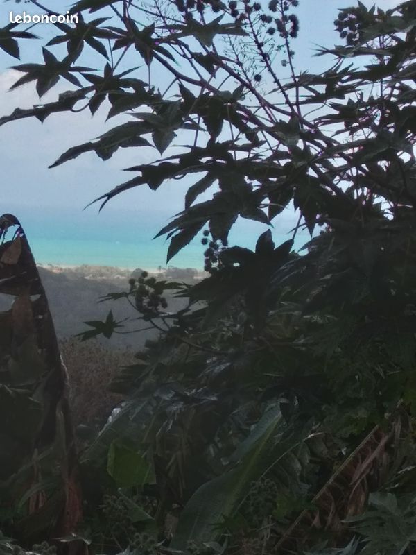 Location F2 (image 4)