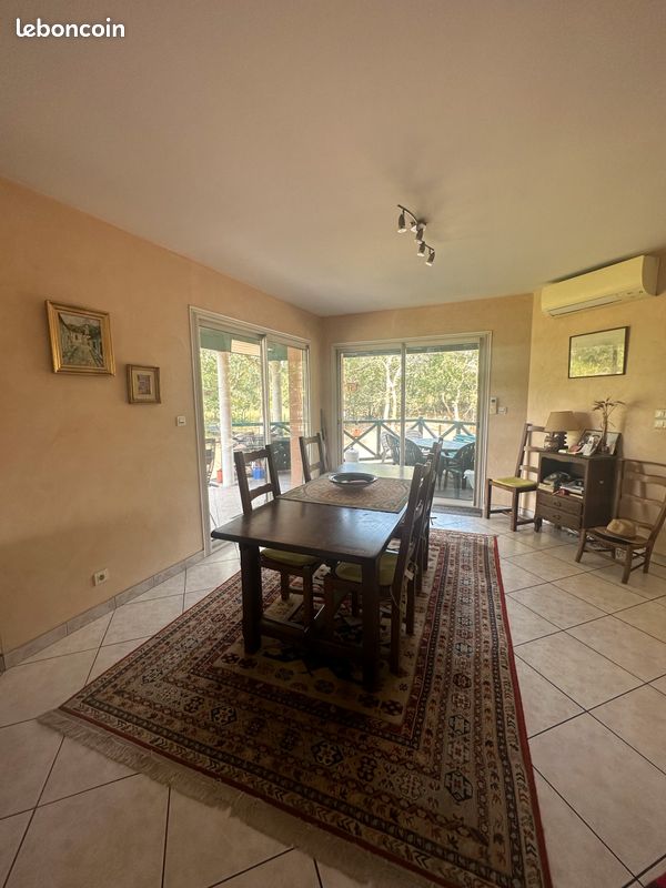 Maison de plain pied 3 ch et 1 bureau garage jardin - Pissos 40410 (image principale 3)