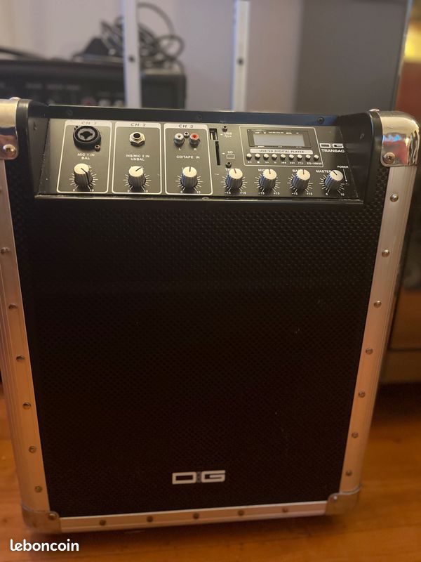 Guitare 12 cordes acoustique et ampli (image 2)