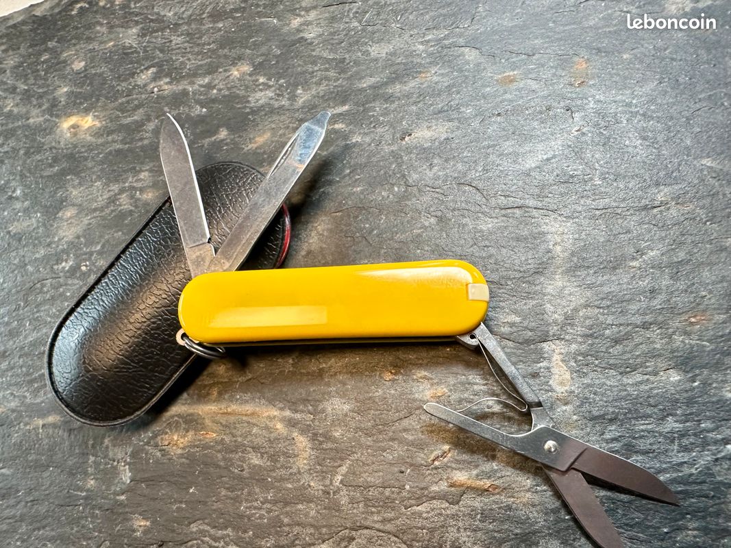 Couteaux à Steak Victorinox - Lame Dentée - Manche Jaune Ergonomique - Lot De 2