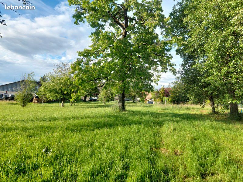 Muespach le Haut, magnifique terrain constructible de 12 ares à Muespach-le-Haut · 299 000 €