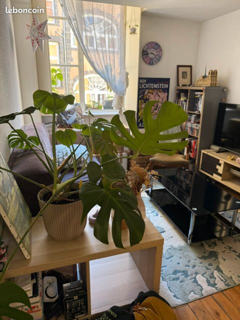 Appartement 3 pièces 40 m² · à Clermont-Ferrand · 40 m² · 600 €/mois
