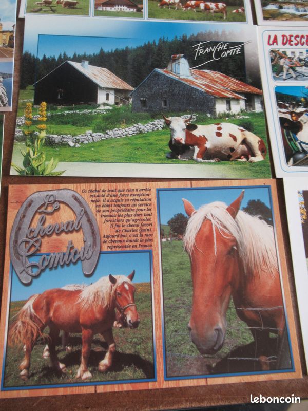 Lot enveloppe et 17 cartes postales de Franche-comté Doubs (image 13)