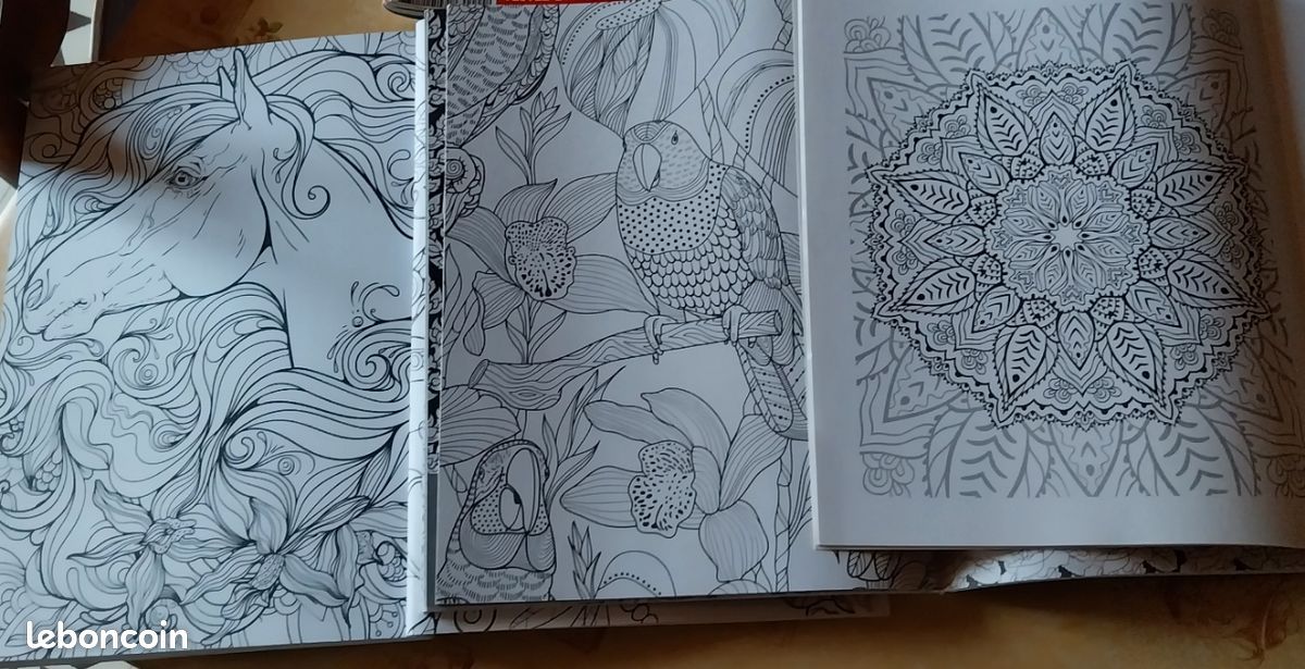 7 livres coloriage adultes (image 3)
