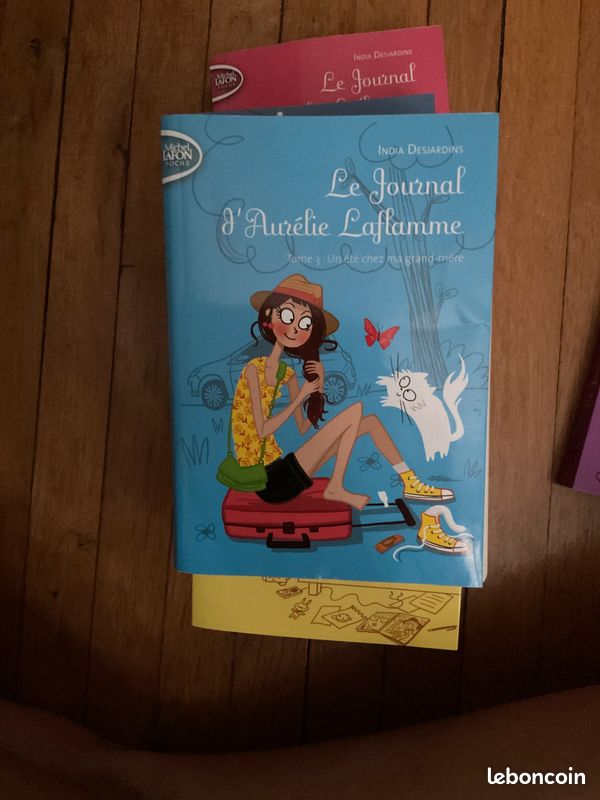 Intégrale du Journal d’Aurélie Laflamme (image 4)
