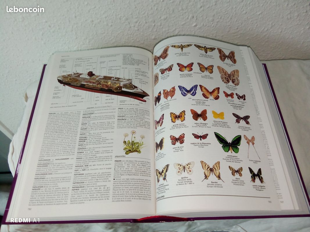 Dictionnaire (image 2)