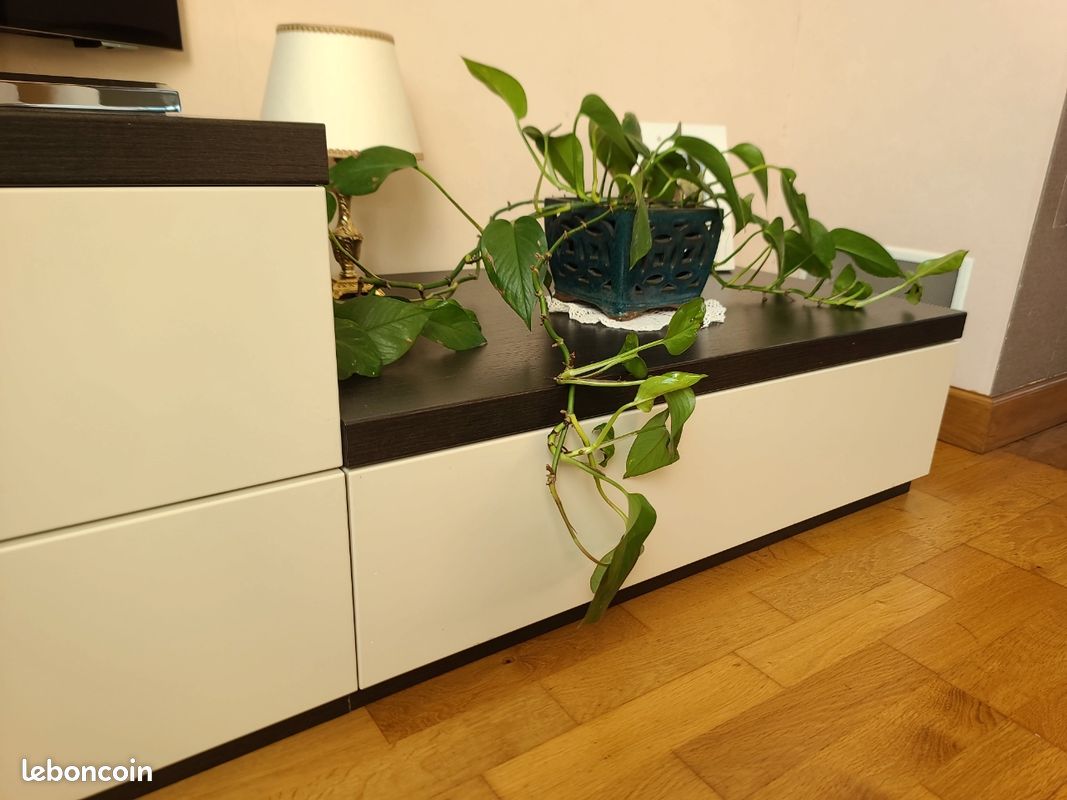 Ensemble meuble tv & table basse (image 3)
