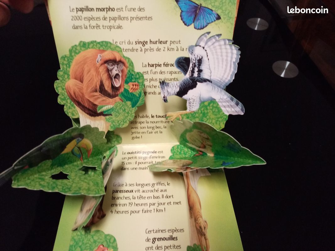 Livre 3D les animaux de la forêt vierge (image 3)