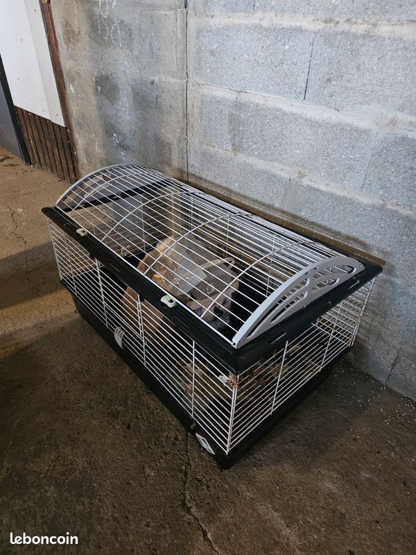 Cage rongeurs et accessoires (image 2)