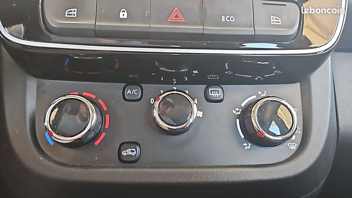 Dacia spring expression (image 29)
