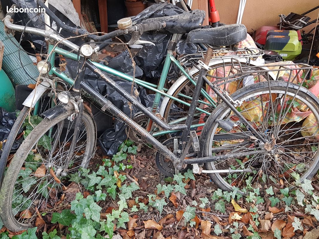 Donne vélo femme adulte (image 1)